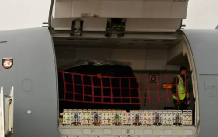 Frachttür nach P2F A310 Frachttür nach P2F A310