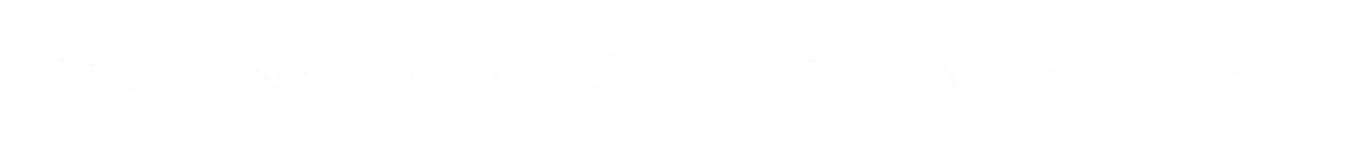 Customer Slider Workforce Solutions 2